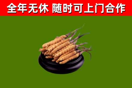 莲都区烟酒回收冬虫夏草.jpg